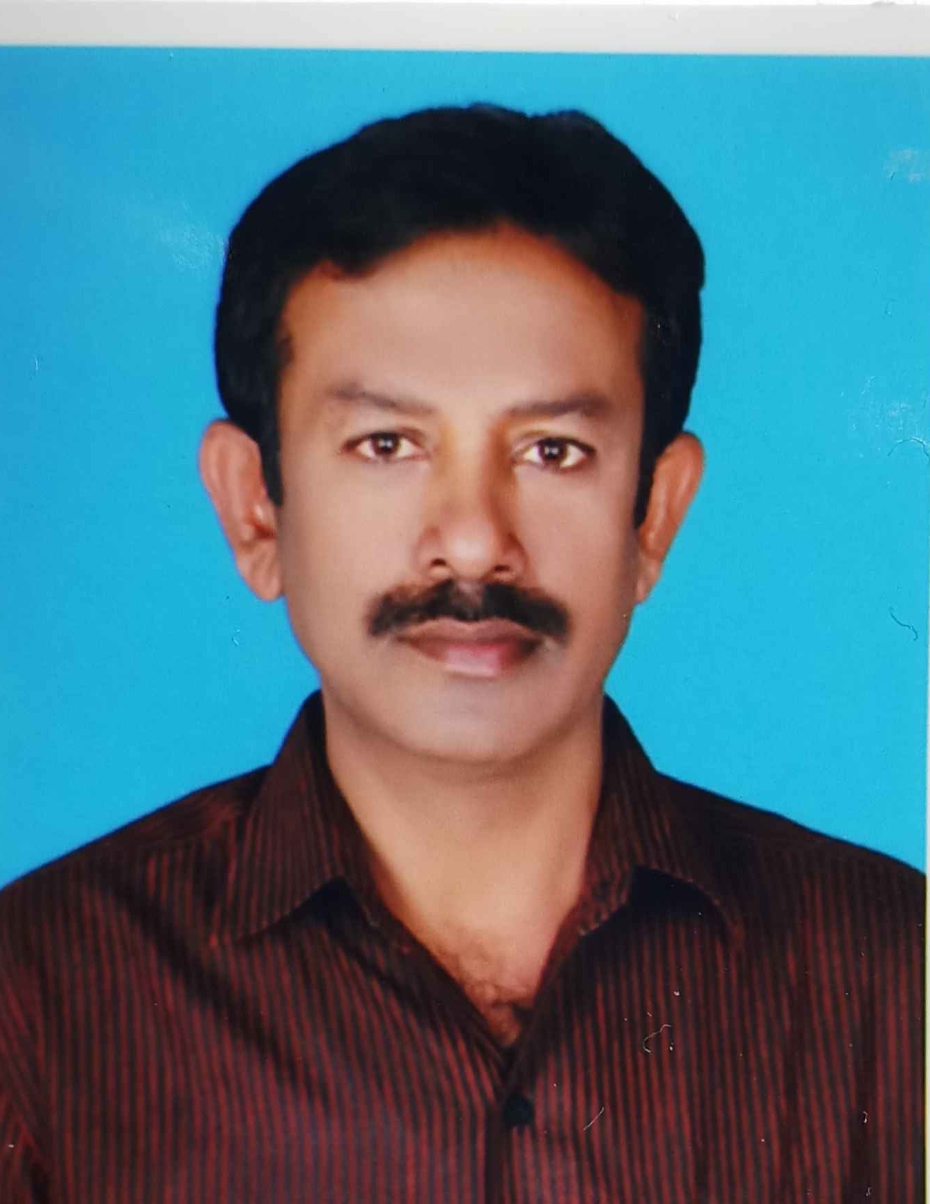 Bijili